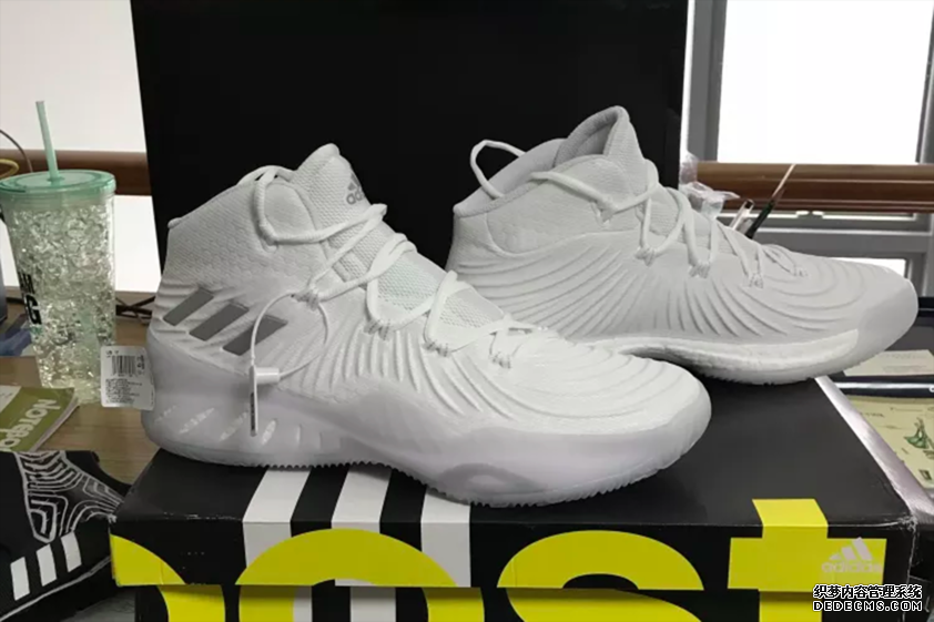 在官网会买到假鞋吗 中国球鞋市场真假解析 在官网会买到假鞋吗 中国球鞋市场真假解析